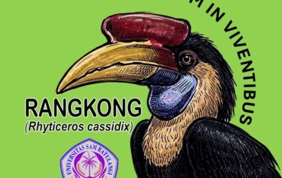 Rangkong Sulawesi: Penjaga Hutan, Simbol Kesetiaan, dan Maskot Program Studi Kehutanan UNSRAT