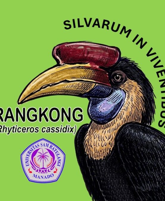 Rangkong Sulawesi: Penjaga Hutan, Simbol Kesetiaan, dan Maskot Program Studi Kehutanan UNSRAT